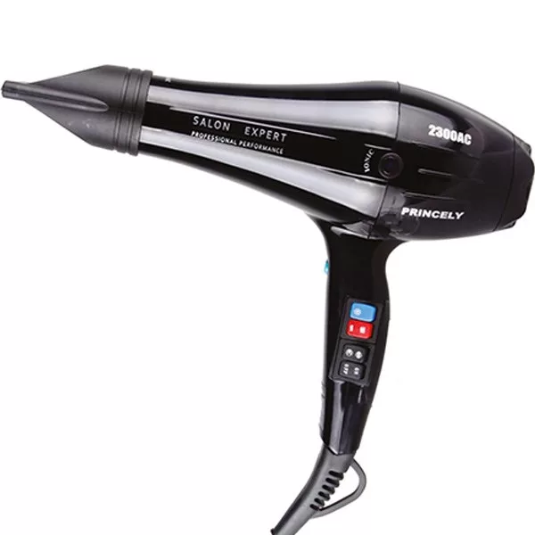 سشوار حرفه ای پرنسلی مدل PR234AT