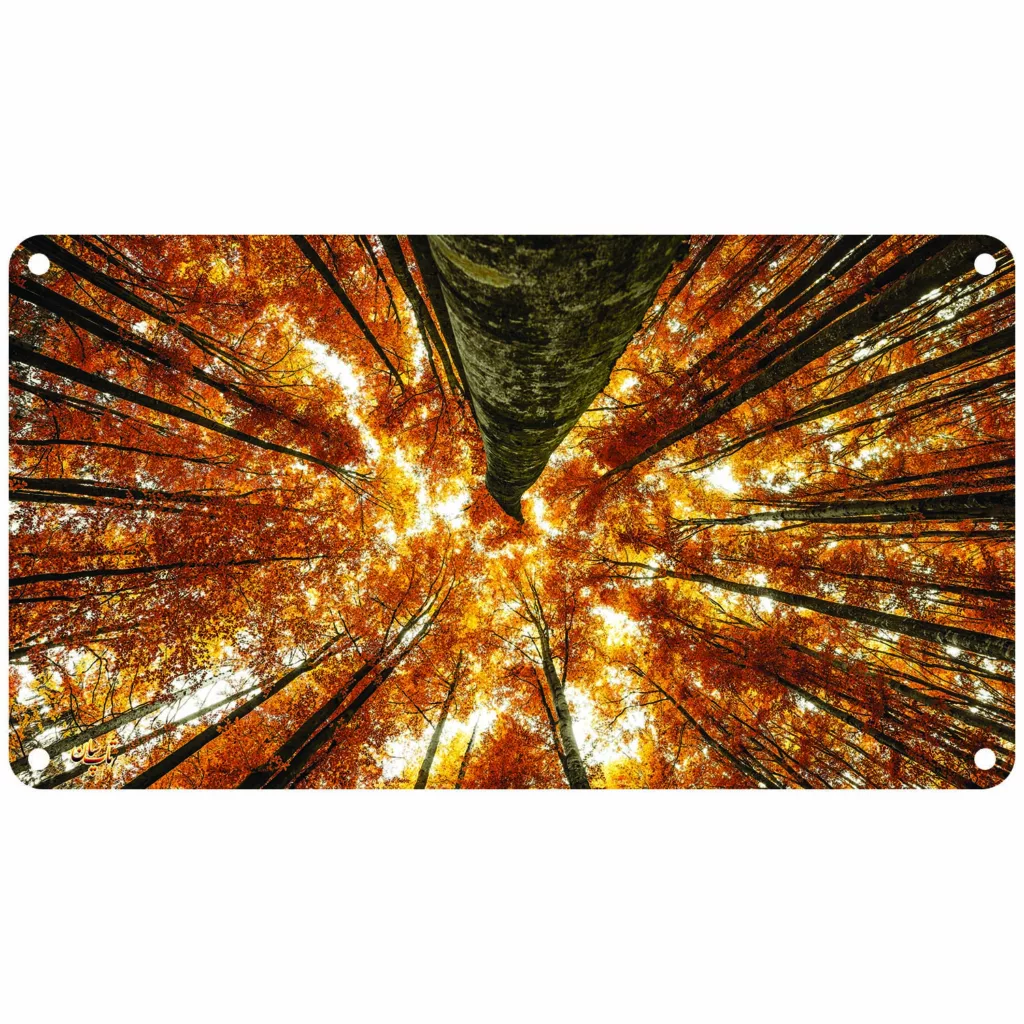 رادیاتور برقی دیواری تاپسان مدل D-902-TP-N-50