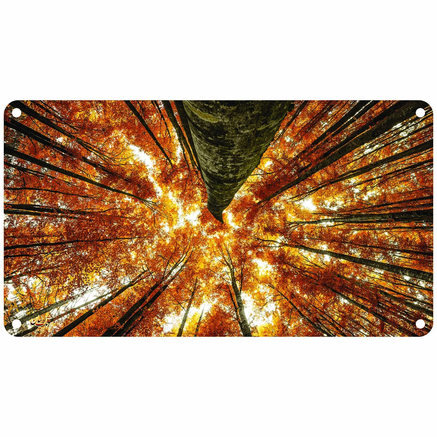 رادیاتور برقی دیواری تاپسان مدل D-902-TP-N-50