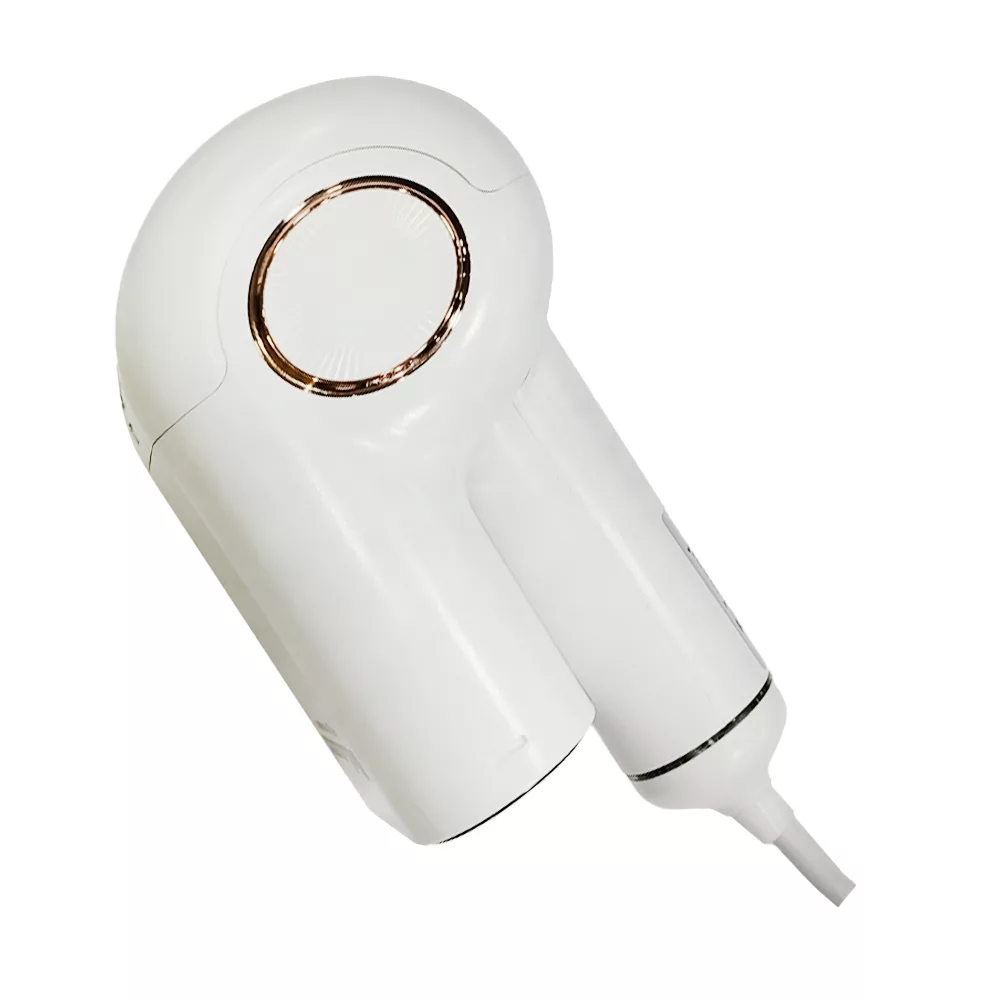 بخارگر دلمونتی مدل DL-960