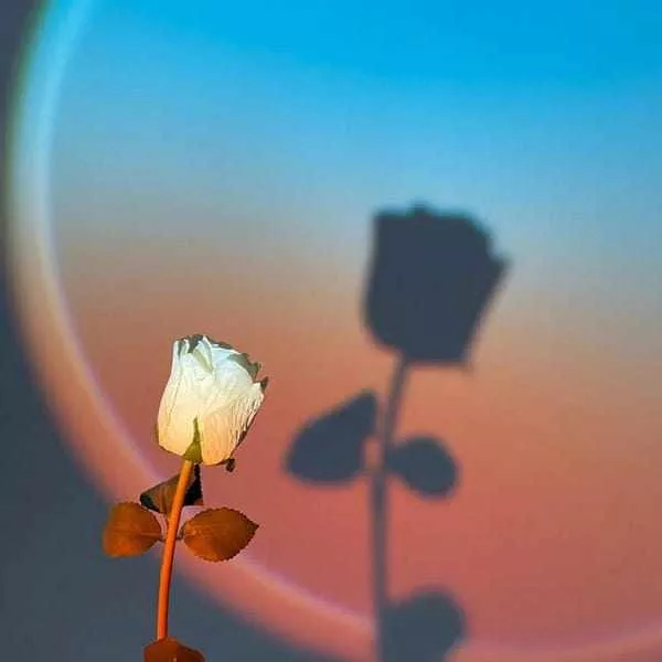 نور ثابت ال ای دی مدل SUNSET LAMP 2023