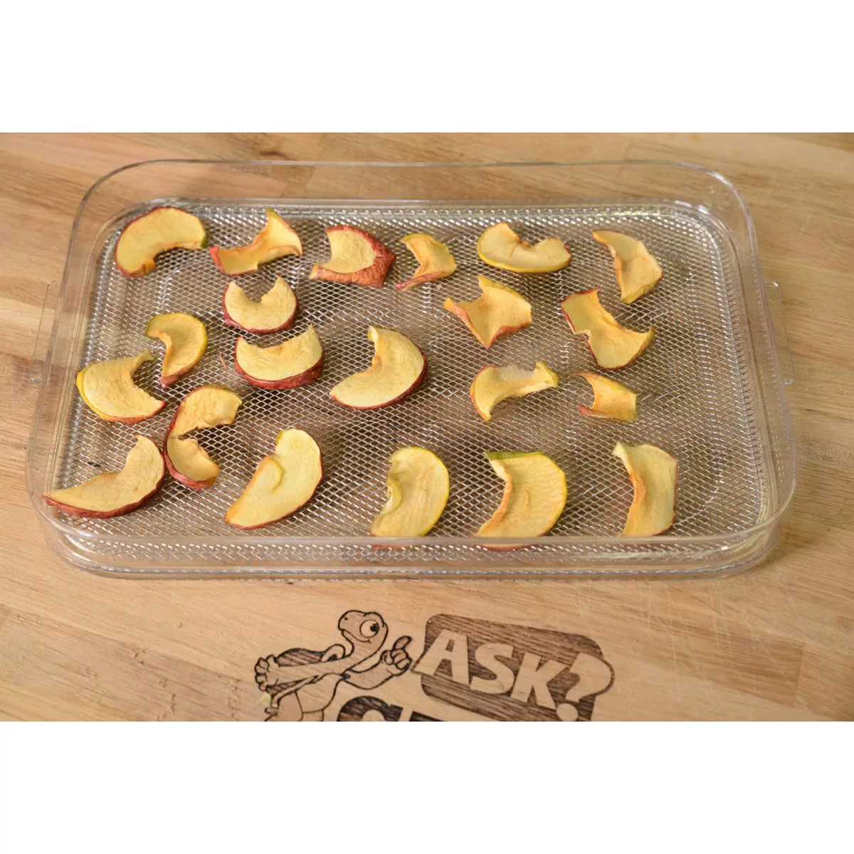 میوه خشک کن دبلیو ام اف مدل Kitc