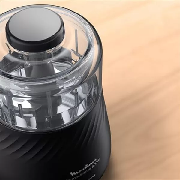 خردکن 0.5 لیتری مولینکس مدل DP712825