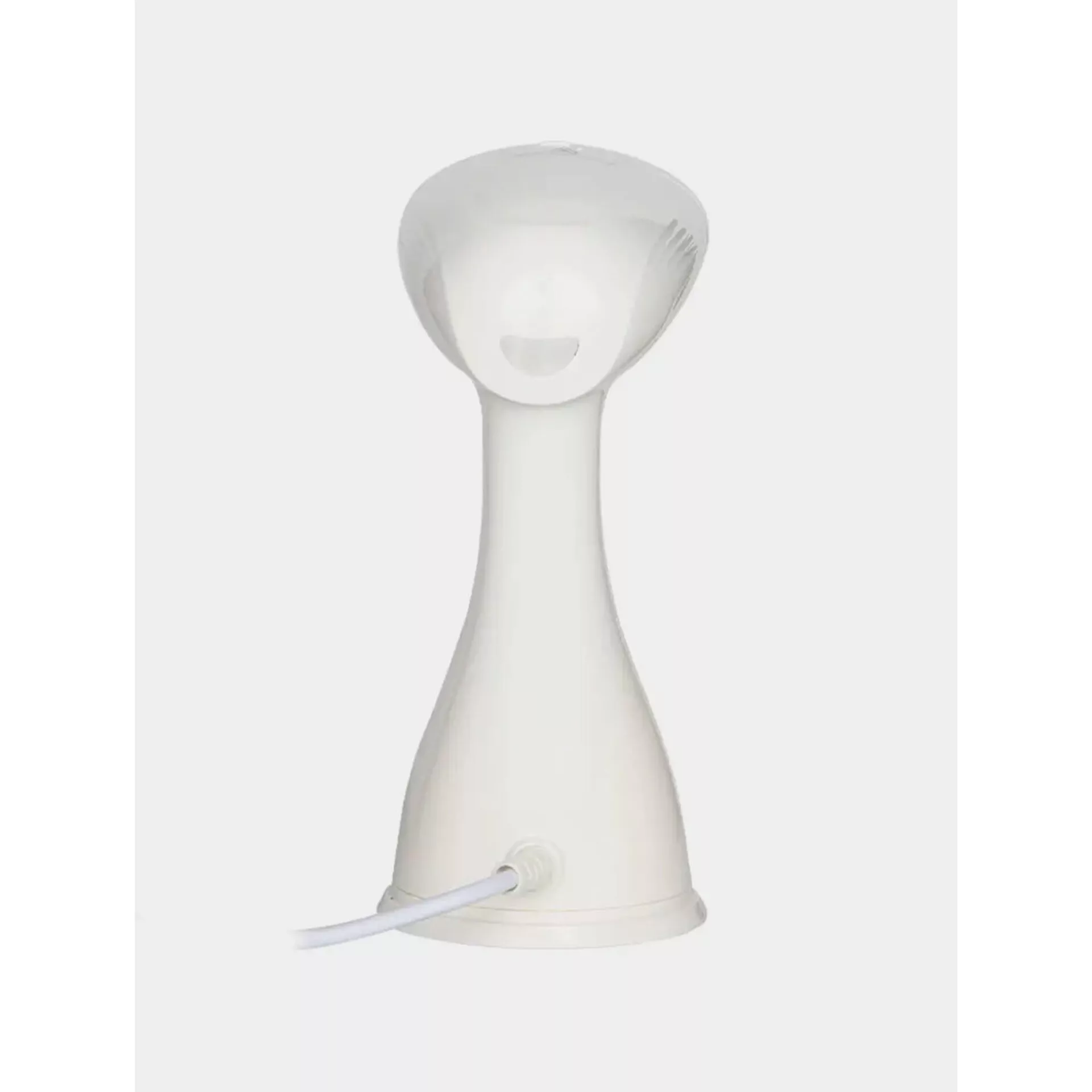 بخارگر 1500 وات راف مدل R.1214