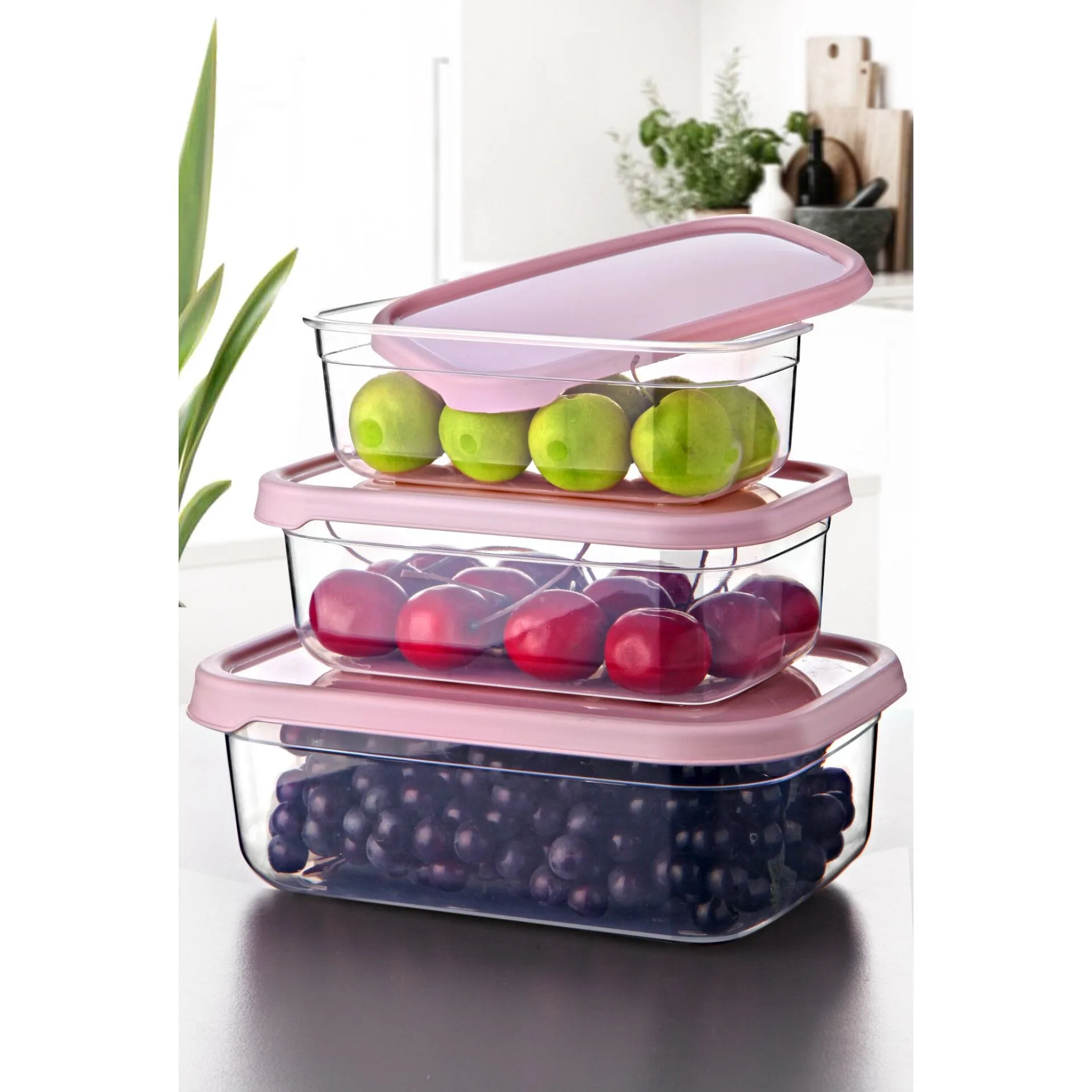 ظرف نگهدارنده مدل 22 مجموعه 3 عددی