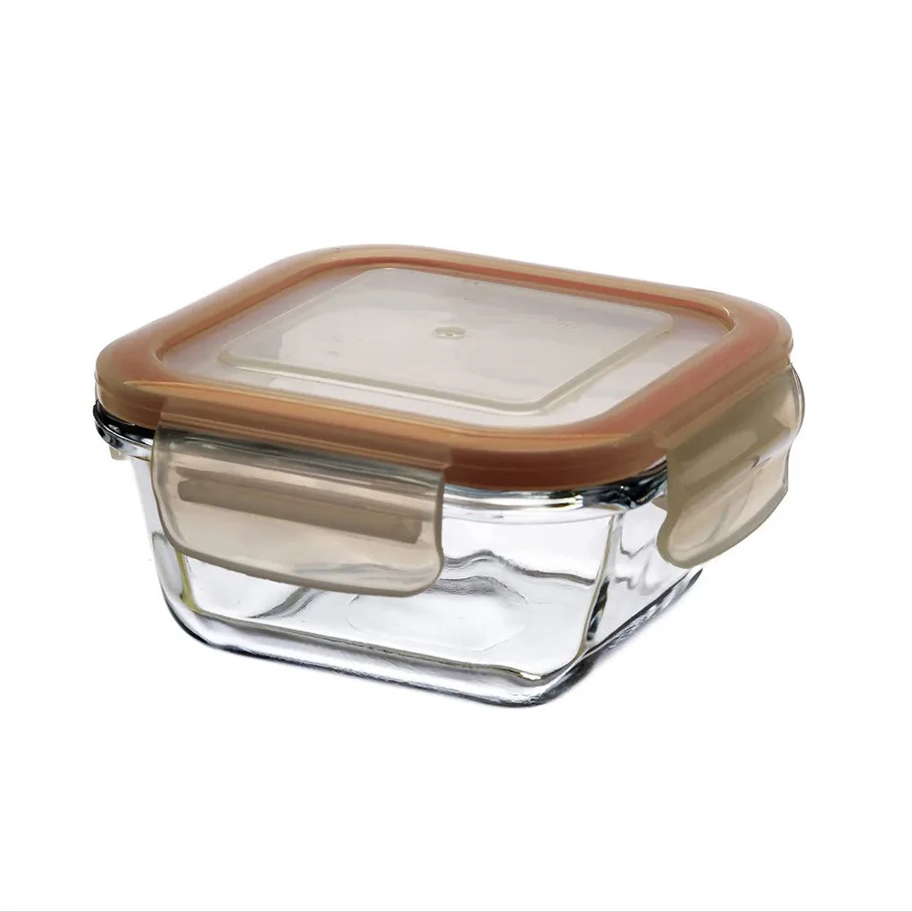 ظرف نگهدارنده مدل ماکسیم