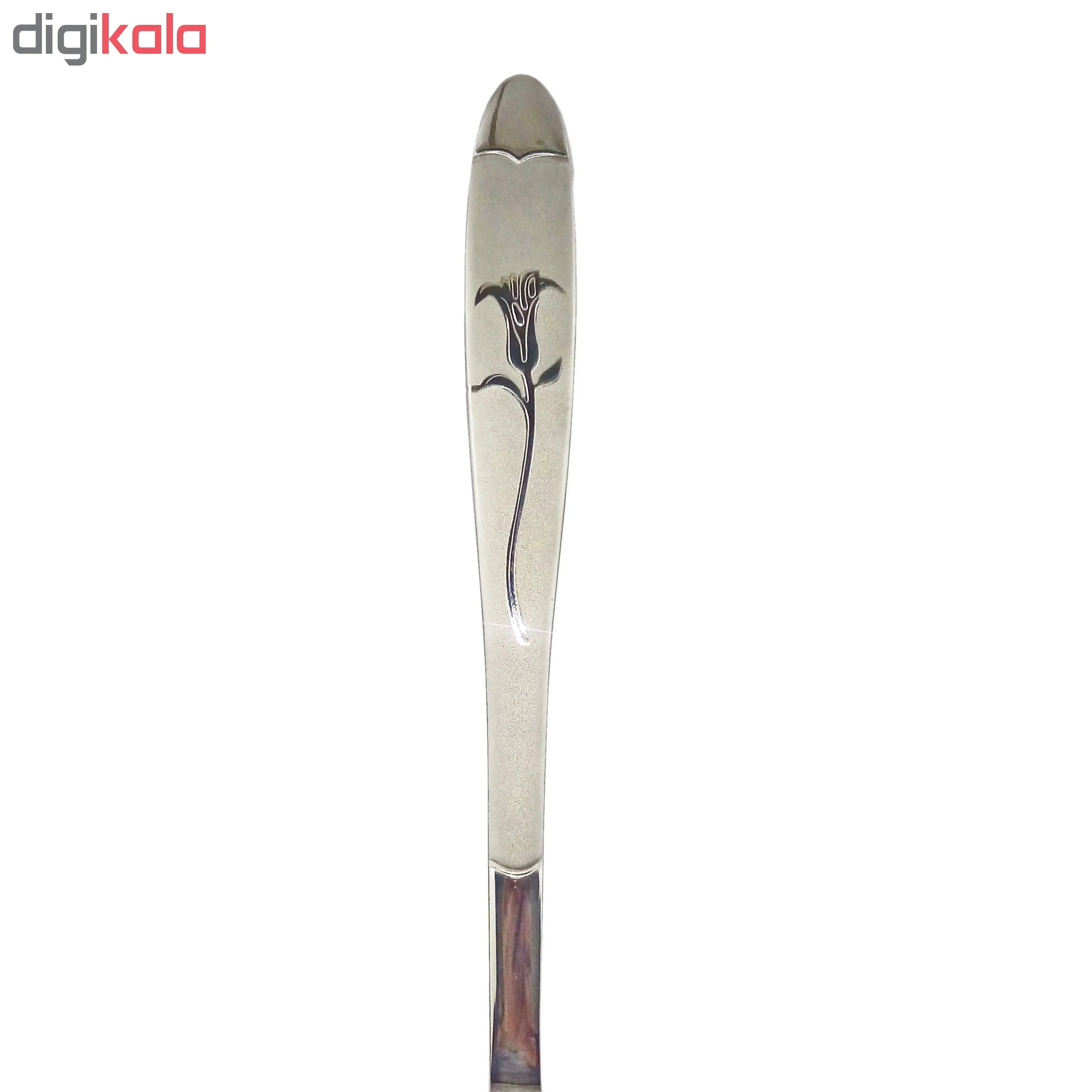 قاشق اجیل خوری نیوهوم کد 0860