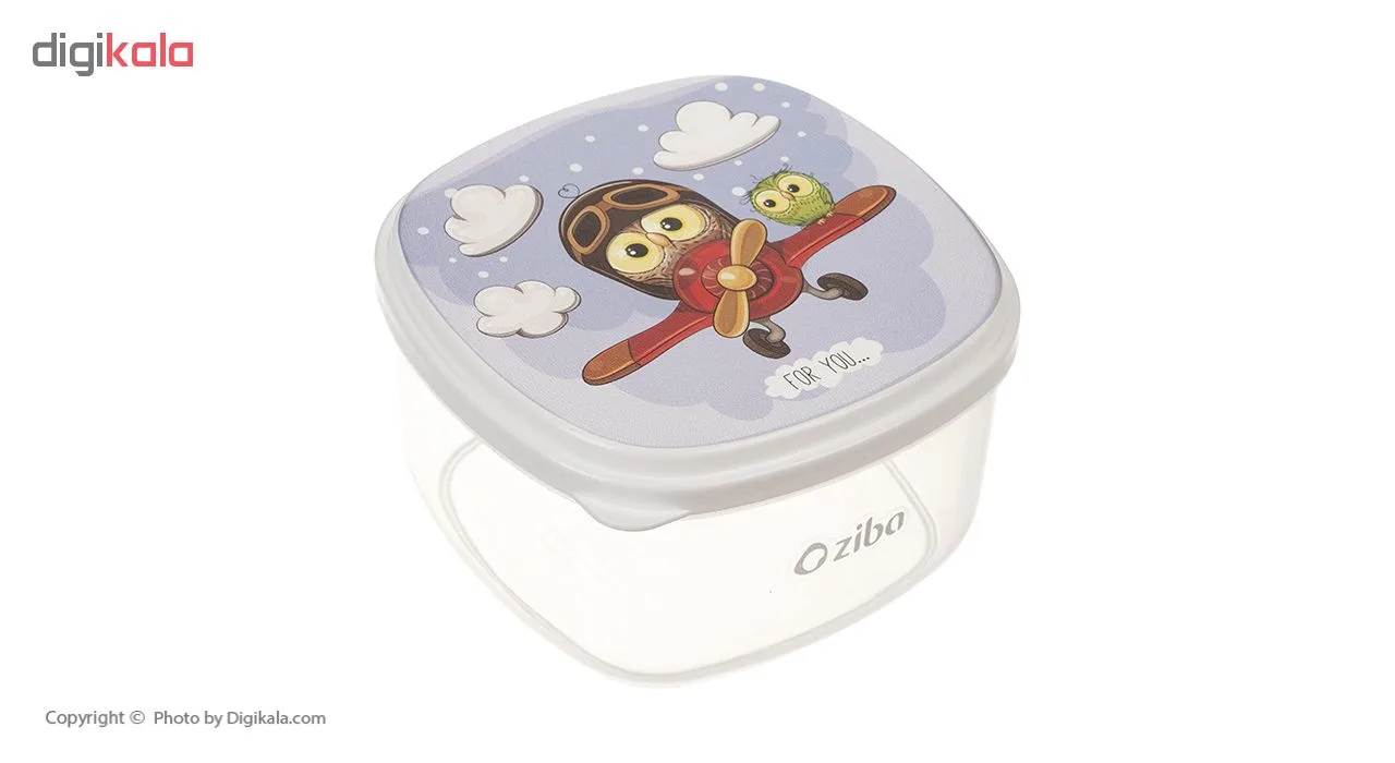 ظرف نگهدارنده زیبا کد ۰۰۶ مجموعه ۴ عددی