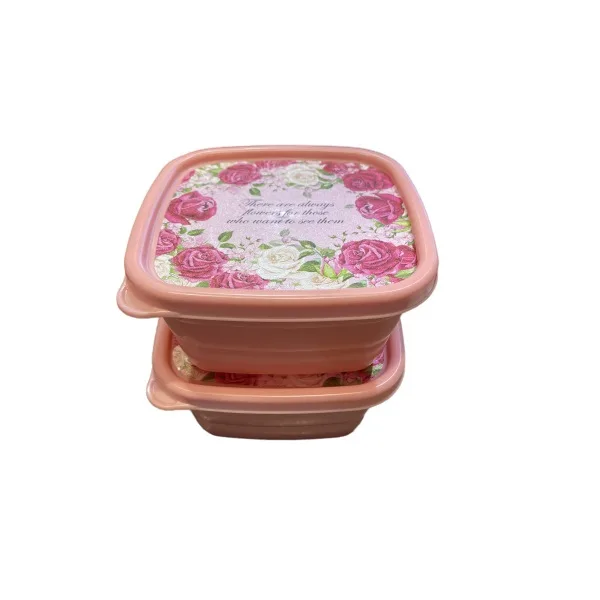 ظرف نگهدارنده مدل Eli Flower مجموعه 2 عددی