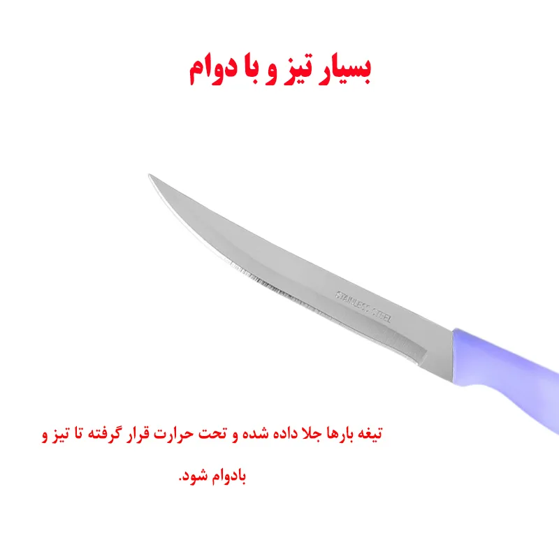 کارد میوه خوری ناسورک کد 1010 بسته 12 عددی