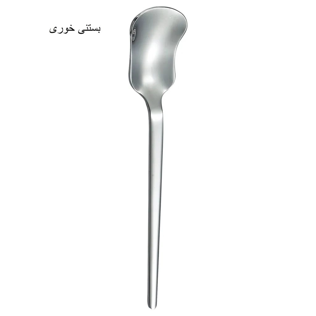 سرویس قاشق و چنگال 10 پارچه جی فی نی مدل G-10
