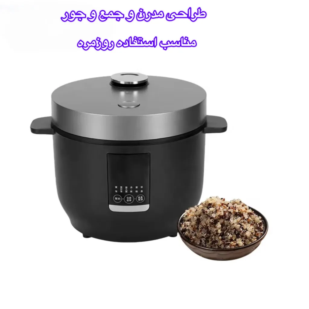 پلوپز 2 نفره مدل QC01