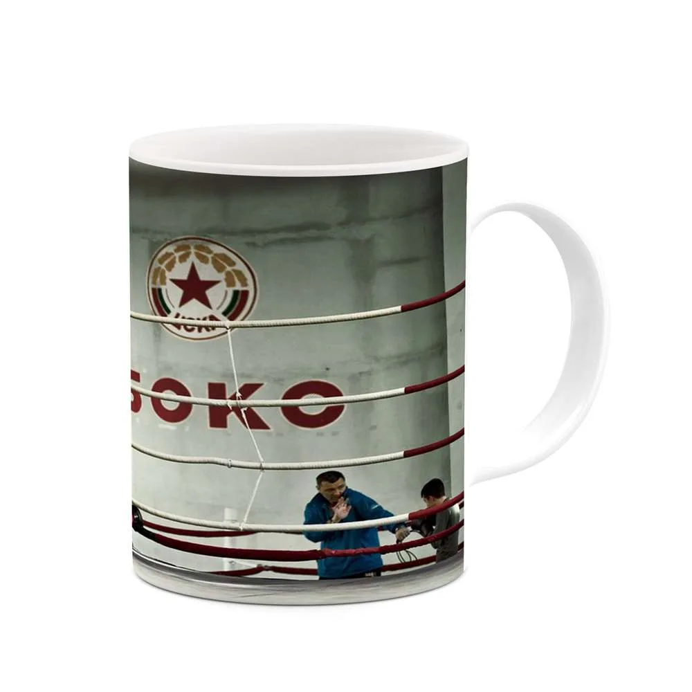 ماگ کاکتی مدل بوکس کد mgh11939