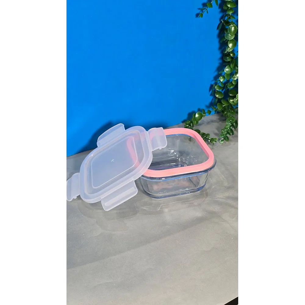 ظرف نگهدارنده مدل ماکسیم