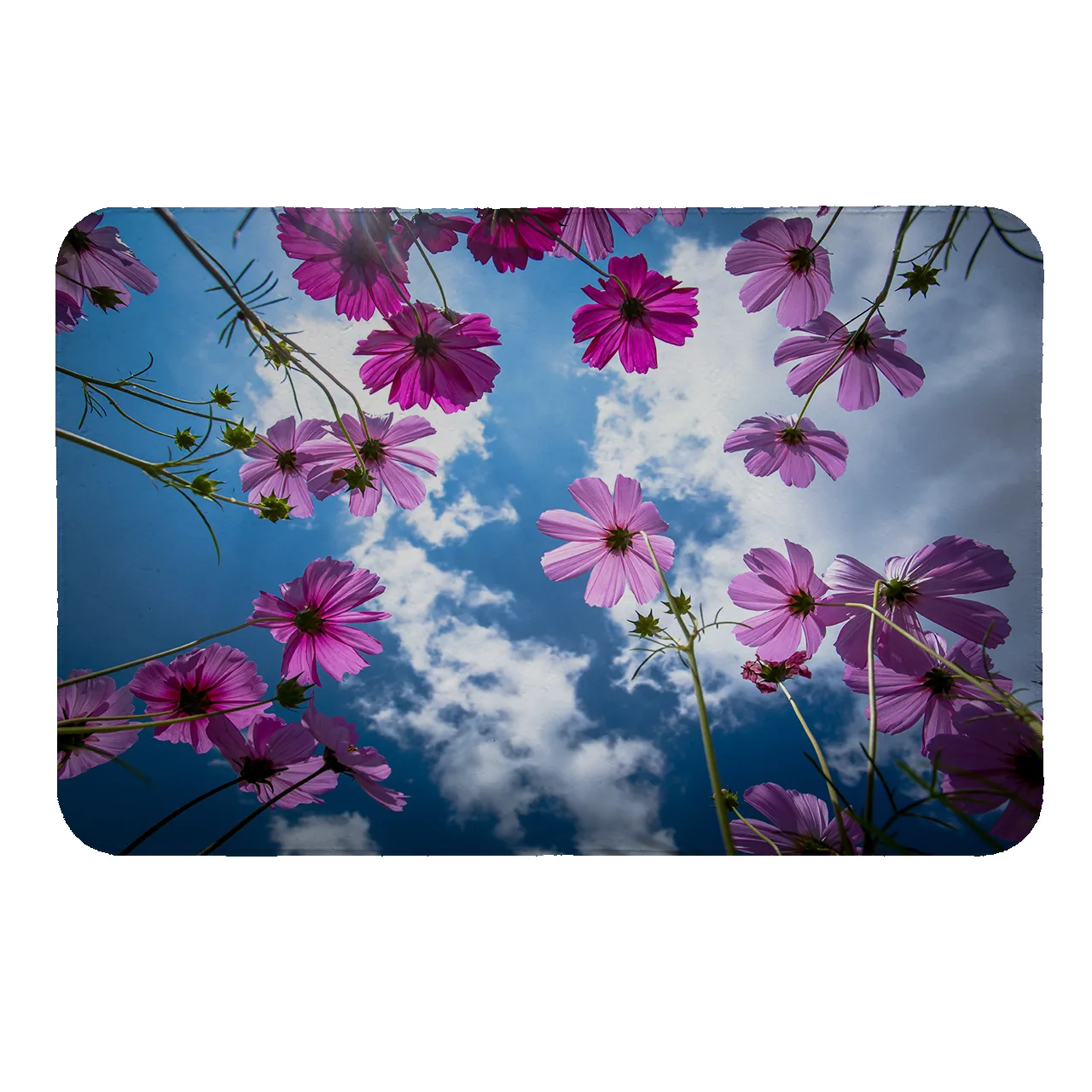 پادری طرح گل کد 5594 سایز 80 × 50 سانتیمتر پادری طرح گل کد 5594 سایز 80 × 50 سانتیمتر