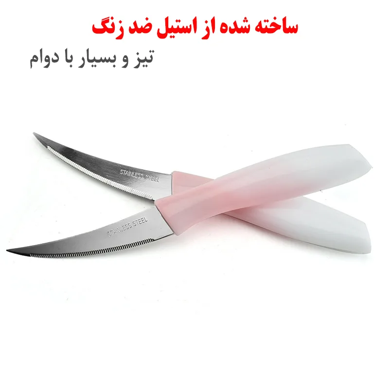 کارد میوه خوری نایوان کد 1004 بسته 6 عددی