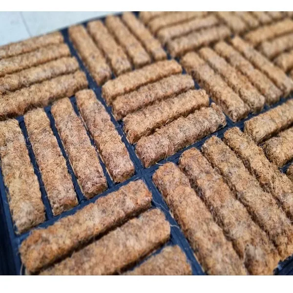 پادری بارک طرح دیوارچین کد 2885 سایز 75x45 سانتی متر