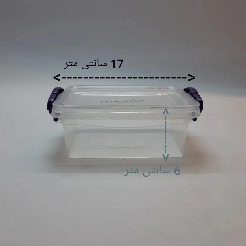 ظرف نگهدارنده رزگلد مدل فریزری قفلی 2 بسته 2 عددی