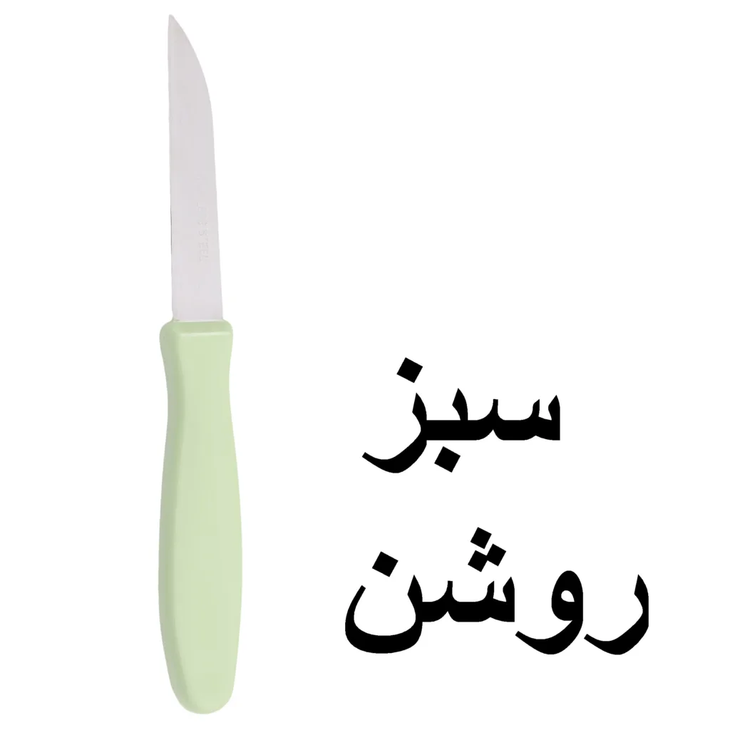 کارد میوه خوری رایزن مدل 2022 بسته 6 عددی