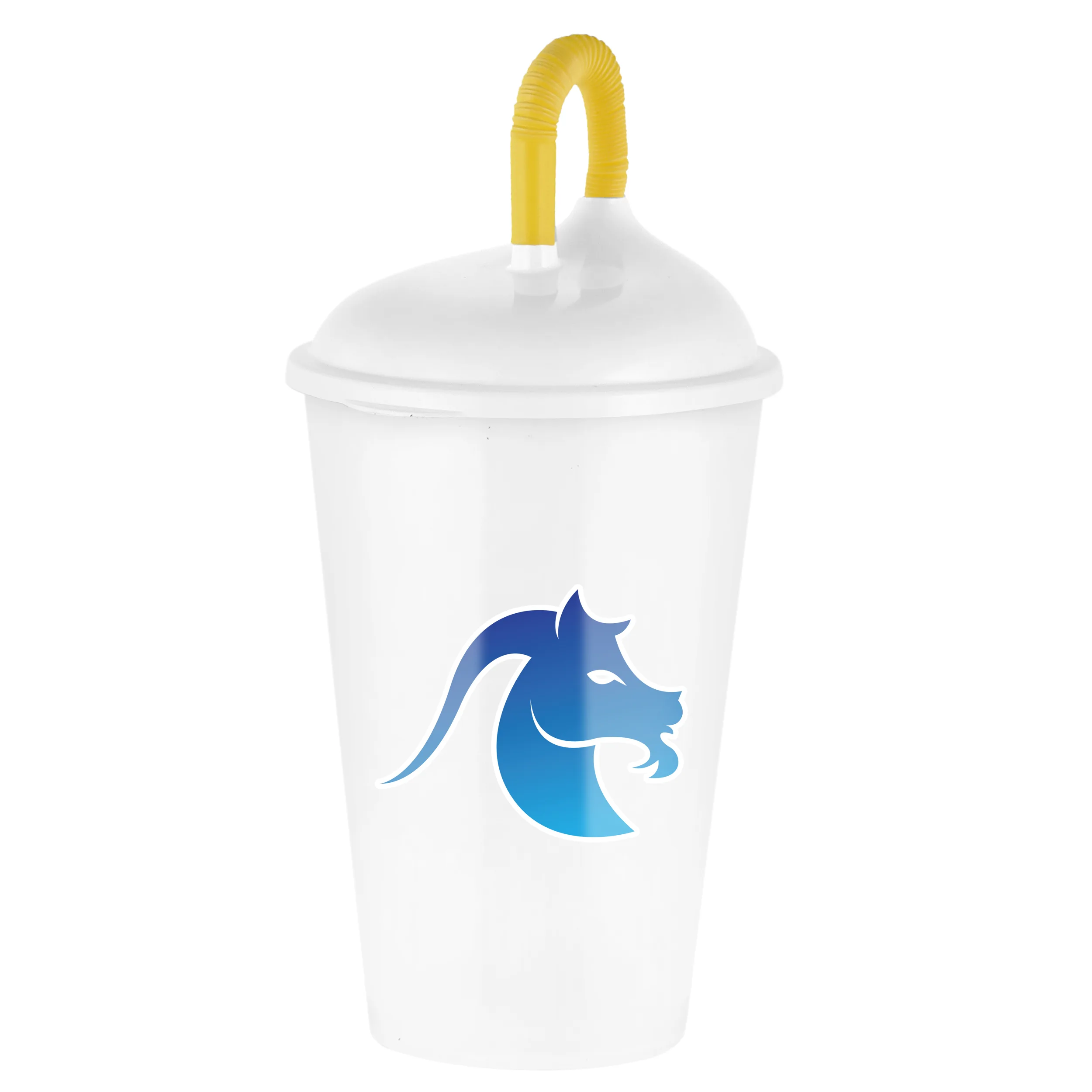 ماگ مدل ماه تولد کد دی