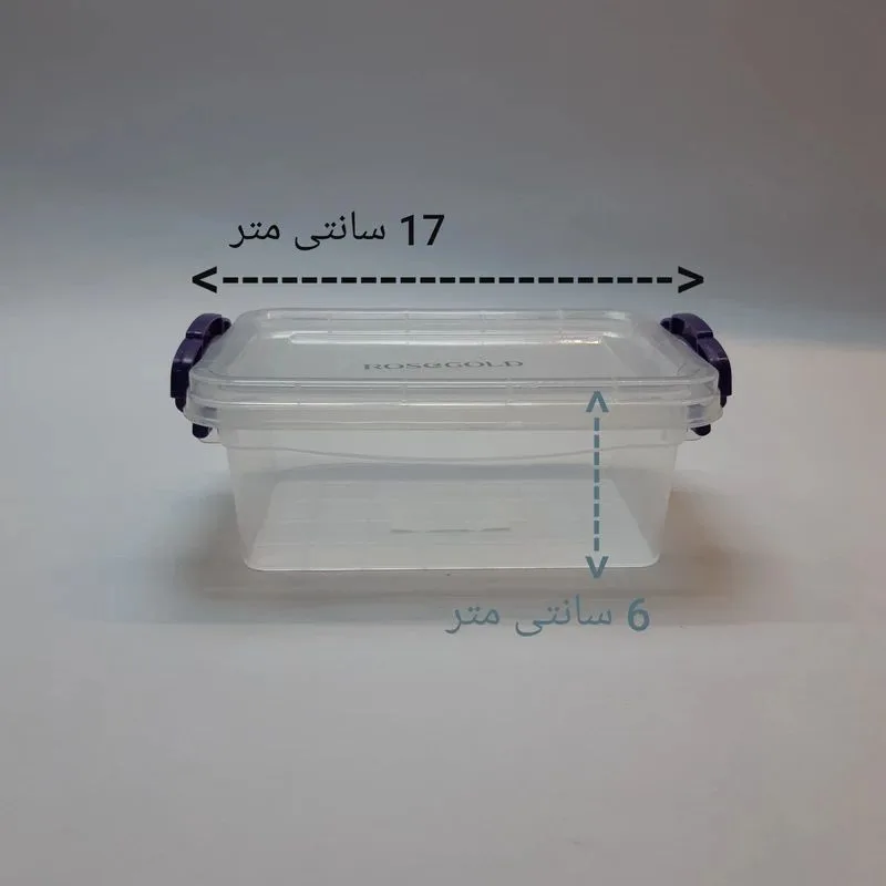 ظرف نگهدارنده رزگلد مدل فریزری قفلی 2 بسته 12 عددی