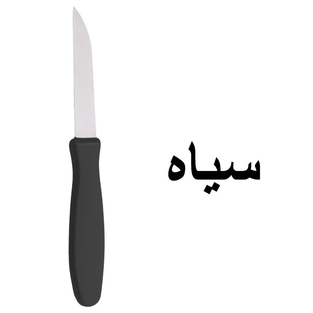 کارد میوه خوری رایزن مدل 2022 بسته 6 عددی