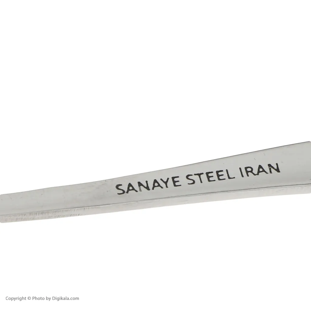 قاشق چای خوری صنایع استیل ایران مدل پارما مجموعه شش عددی