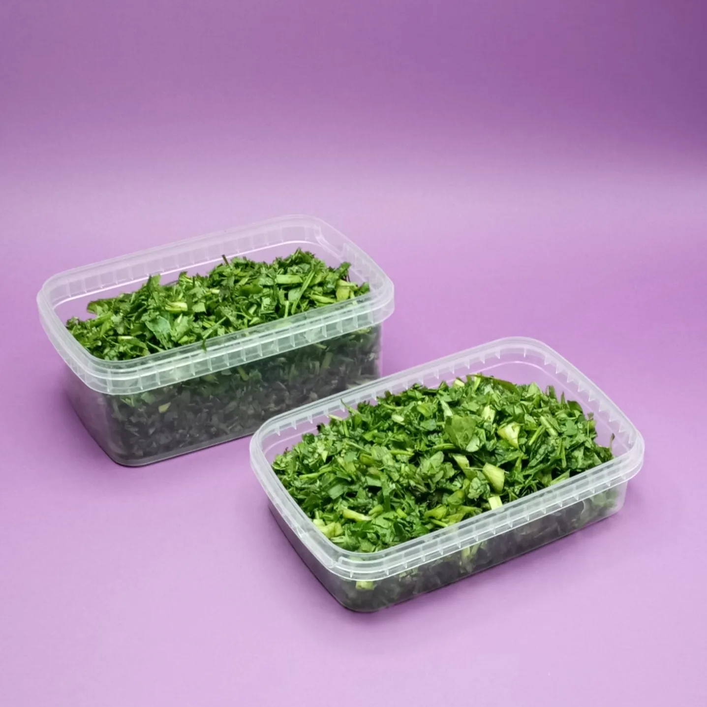 ظرف نگهدارنده پولاد پویش مدل فریزری کد 102 مجموعه 30 عددی