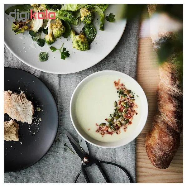 کاسه ایکیا مدل DINERA