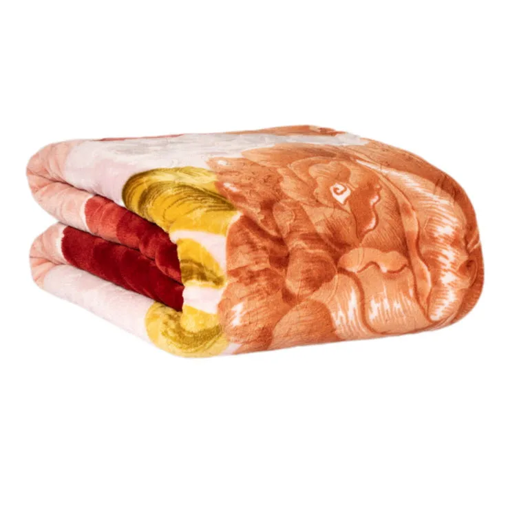 پتو یک نفره گلبافت مدل برتر کد 219 سایز 220×160 سانتی‌متر