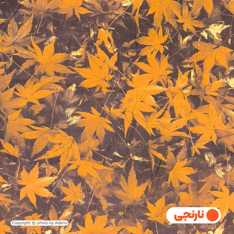 روکش لحاف آدنو مدل Autumn کد IR176 دونفره سایز 220x240 سانتی متر